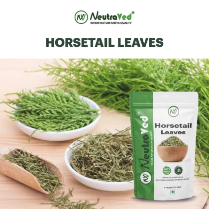Horsetail Leaves image 4